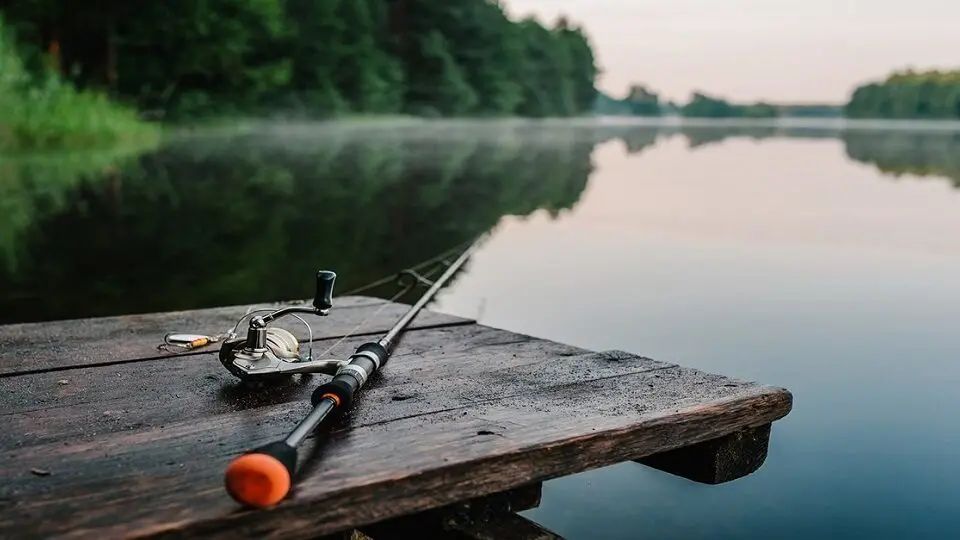 Передаточное число катушки: что означает и как выбрать